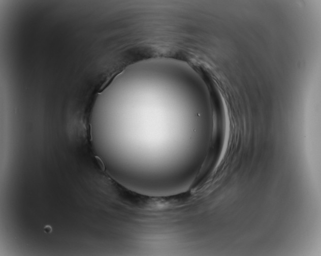X0000090620613200707171436
