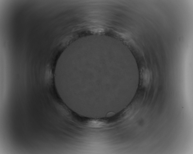 X0000090620614200707171436