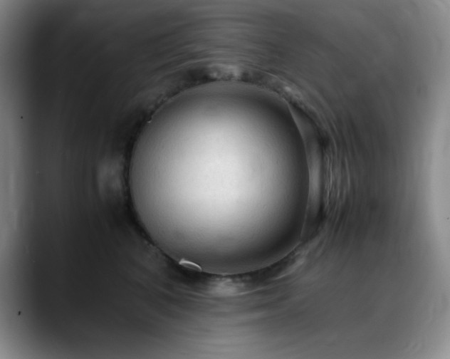 X0000090620616200707171436