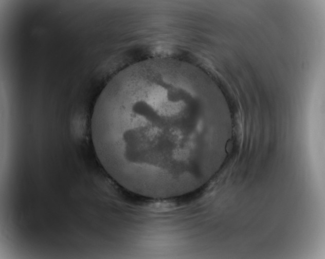 X0000090620619200707171436