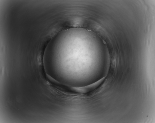 X0000090620620200707171436
