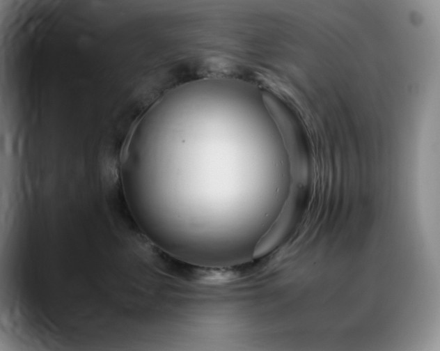 X0000090620621200707171436