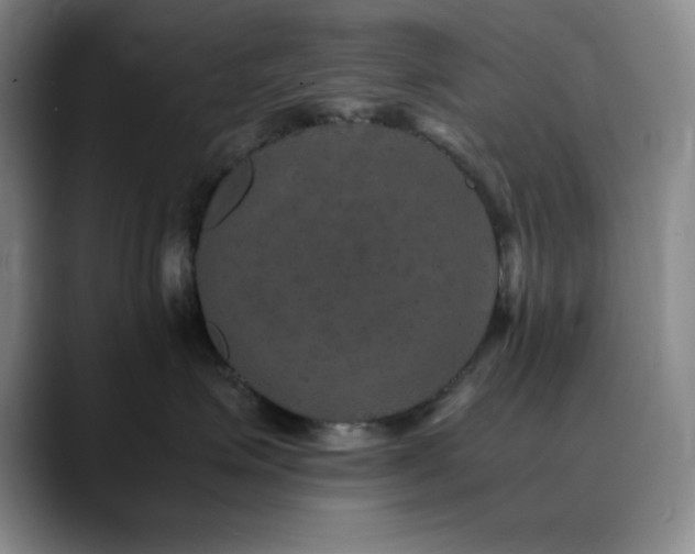 X0000090620623200707171436