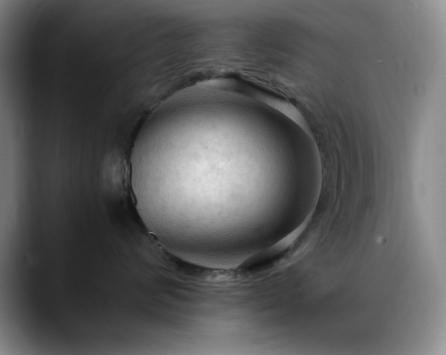 X0000090620624200707171436