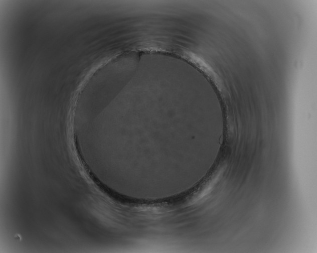 X0000090620625200707171436