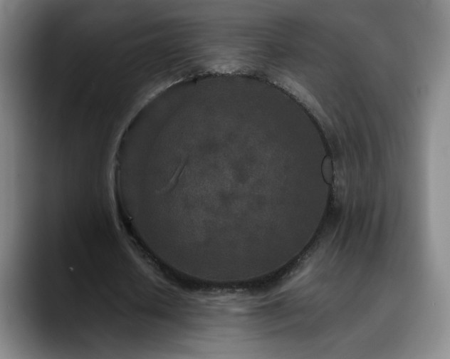 X0000090620626200707171436