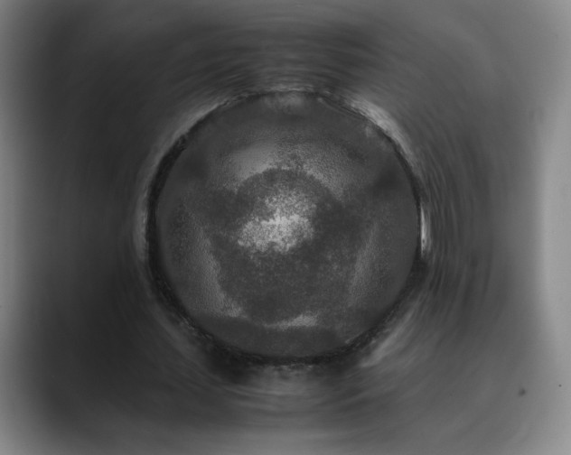 X0000090620627200707171436