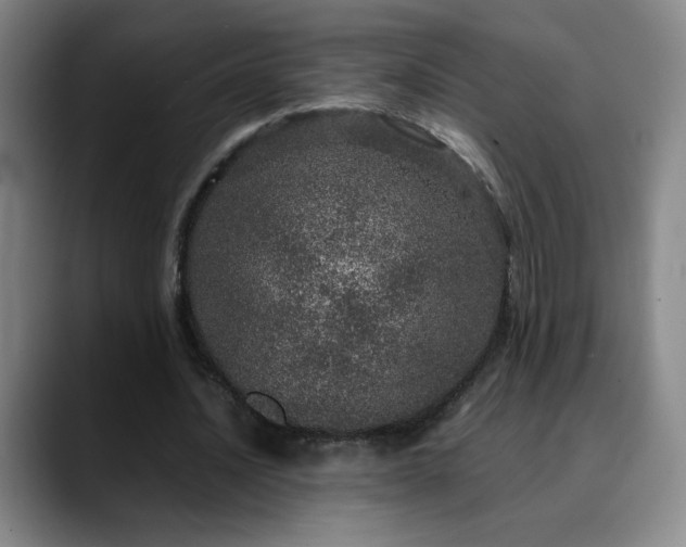 X0000090620628200707171436