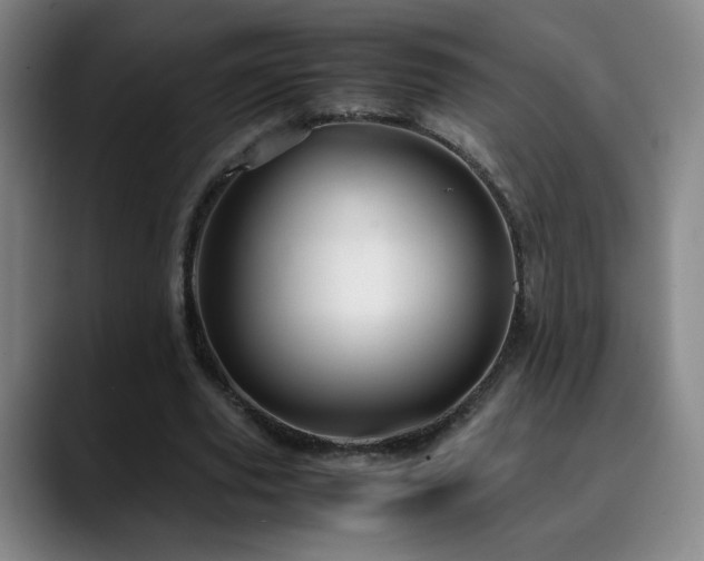 X0000090620629200707171436