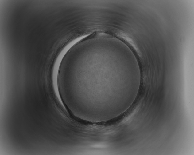 X0000090620633200707171436