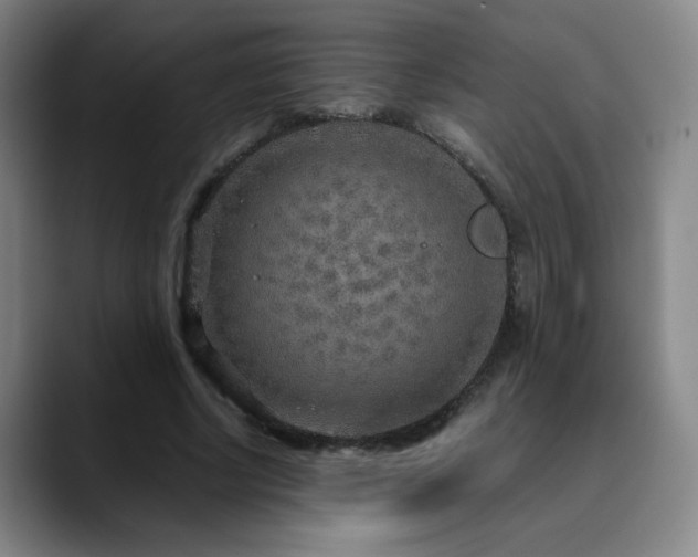 X0000090620634200707171436