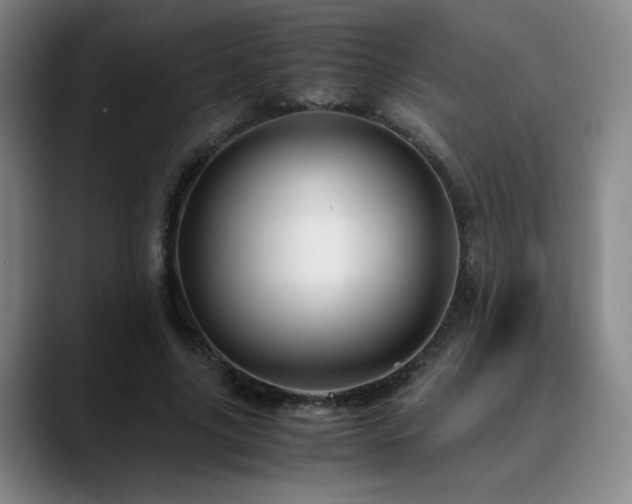 X0000090620635200707171436