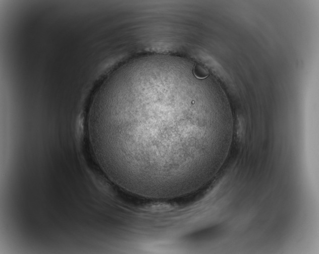 X0000090620636200707171436