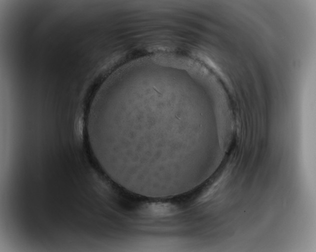 X0000090620637200707171436