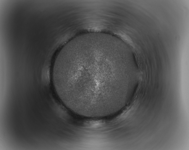 X0000090620638200707171436