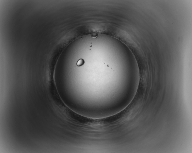 X0000090620639200707171436