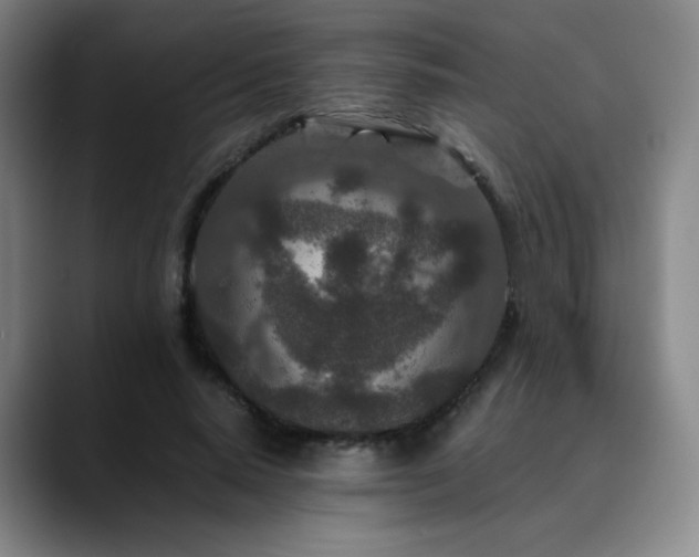 X0000090620640200707171436