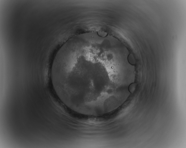 X0000090620641200707171436