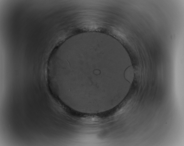 X0000090620642200707171436