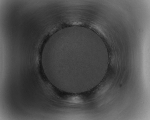 X0000090620643200707171436