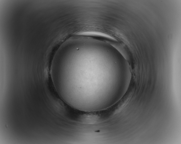 X0000090620644200707171436