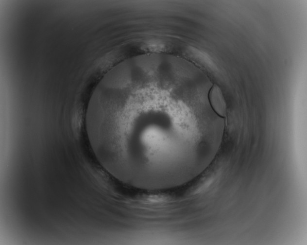 X0000090620645200707171436