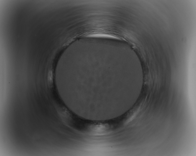 X0000090620646200707171436