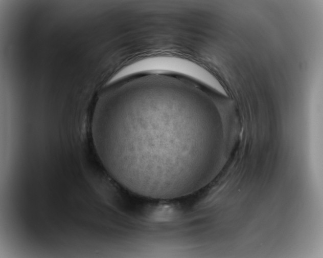 X0000090620647200707171436
