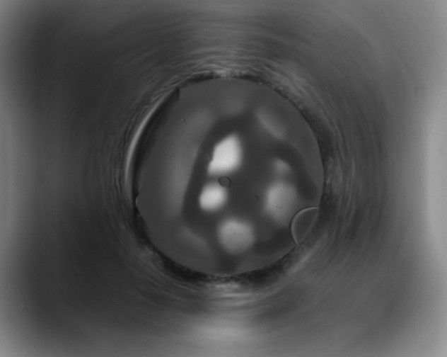 X0000090620650200707171436