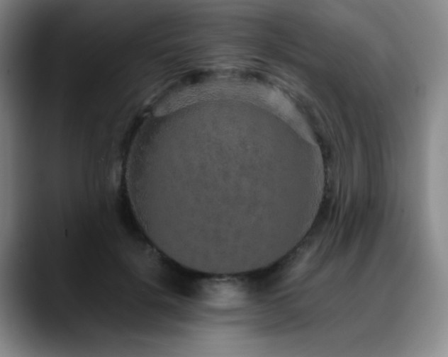 X0000090620652200707171436