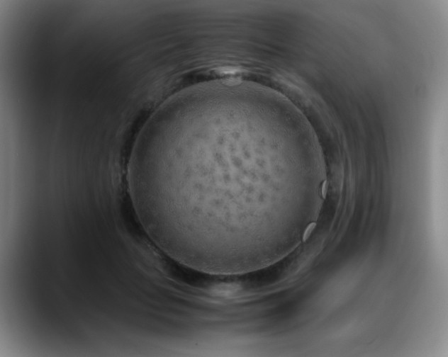 X0000090620653200707171436