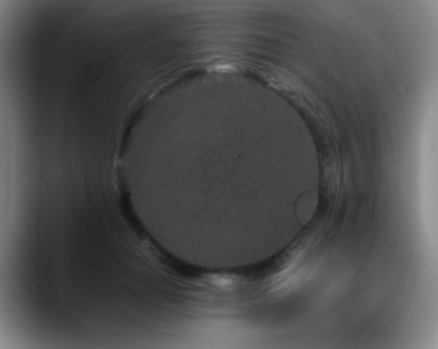 X0000090620654200707171436