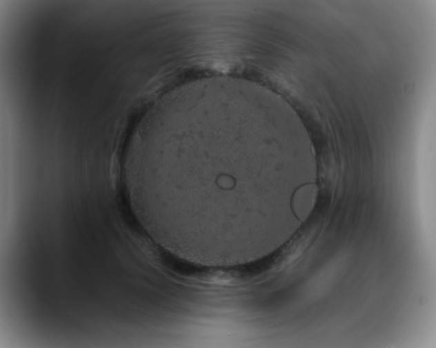 X0000090620656200707171436