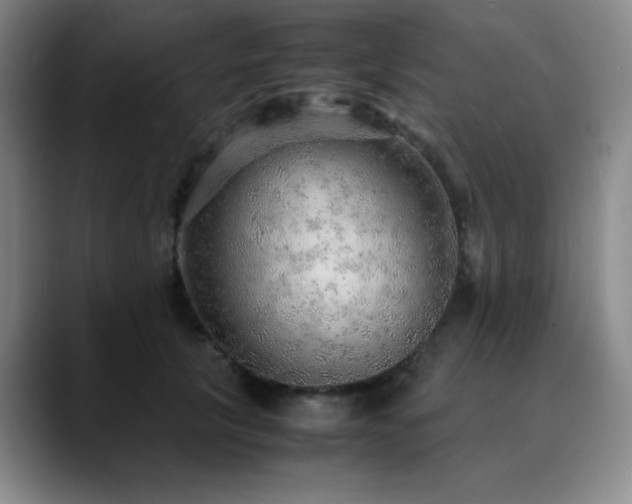 X0000090620657200707171436