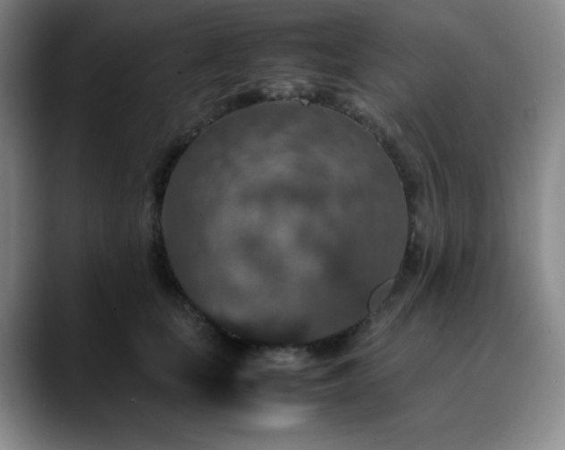 X0000090620659200707171436