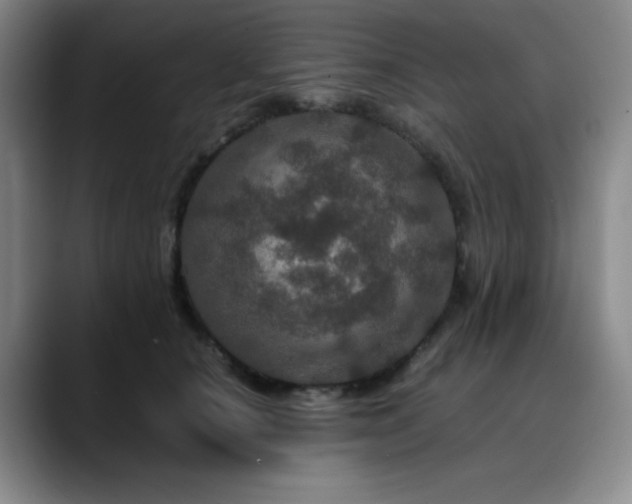 X0000090620660200707171436