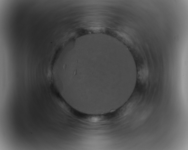 X0000090620662200707171436