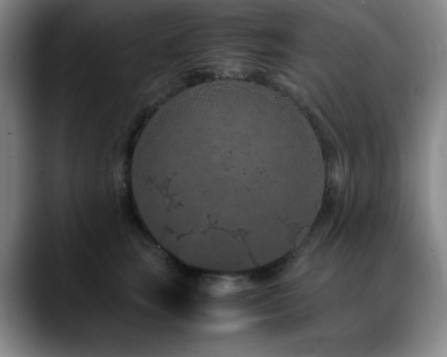X0000090620663200707171436
