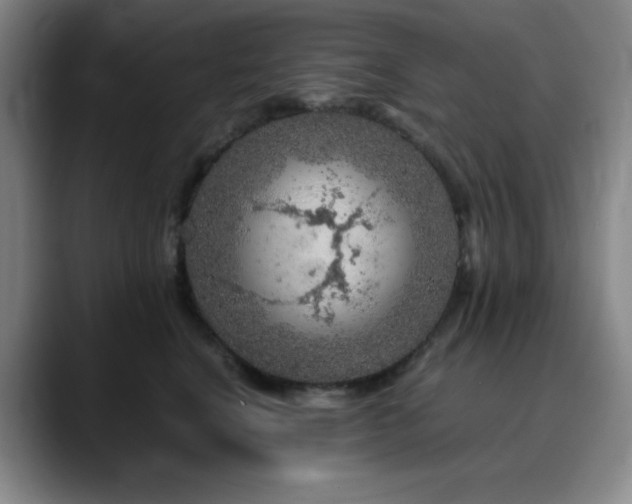 X0000090620664200707171436
