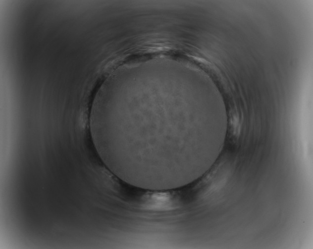 X0000090620665200707171436