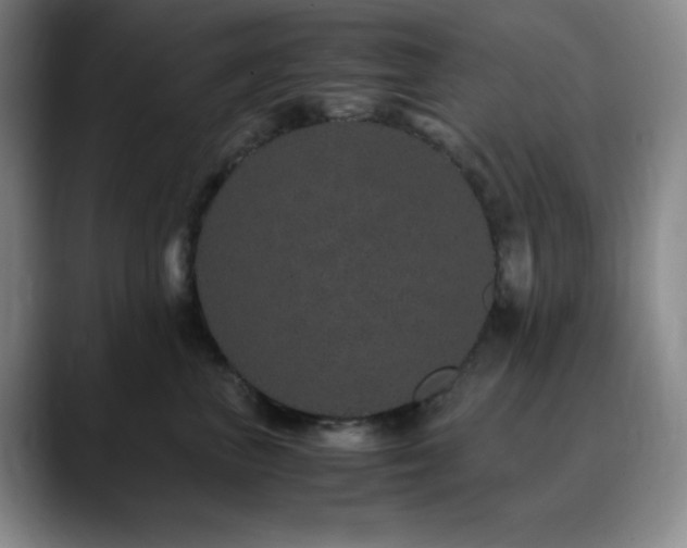 X0000090620667200707171436