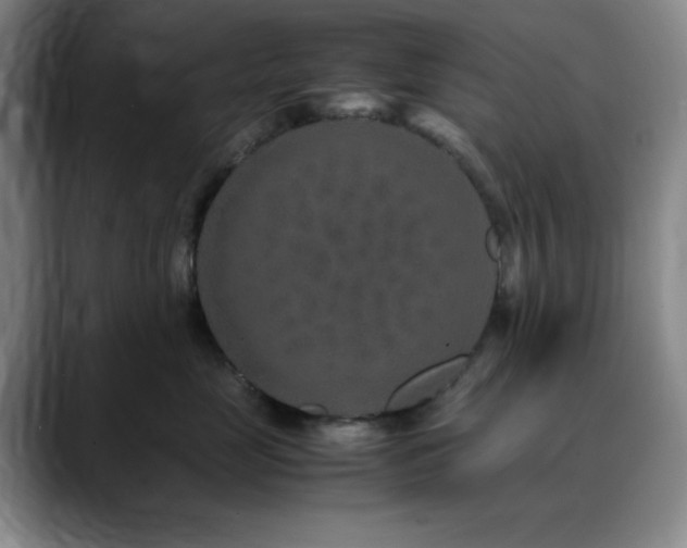 X0000090620669200707171436