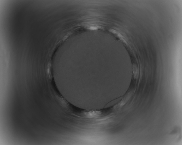 X0000090620670200707171436