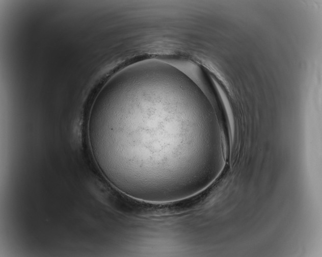 X0000090620675200707171436