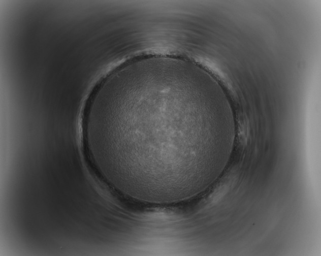 X0000090620678200707171436