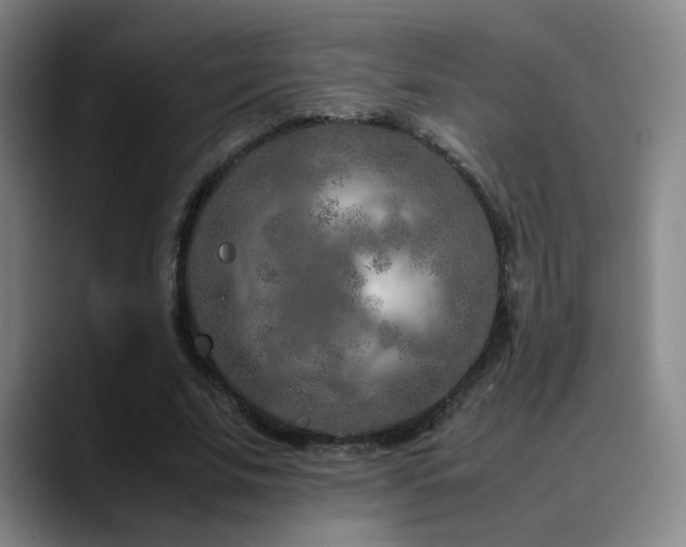 X0000090620679200707171436