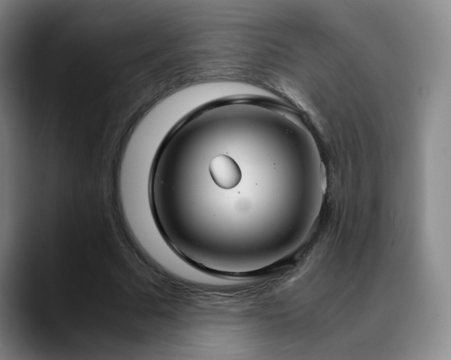 X0000090620681200707171435