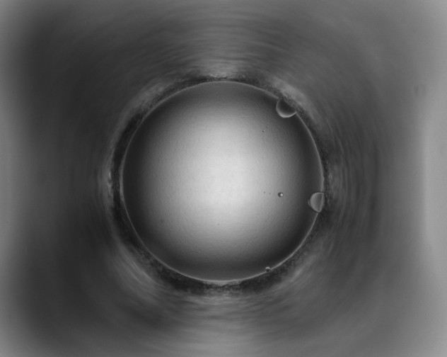 X0000090620682200707171435