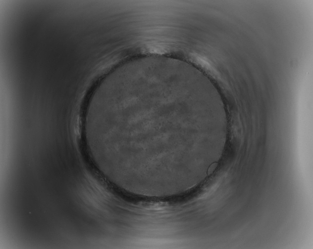 X0000090620683200707171435