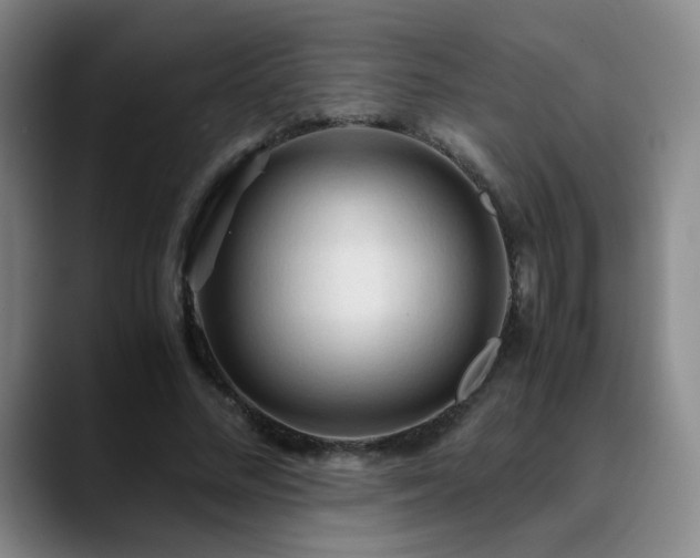 X0000090620684200707171435